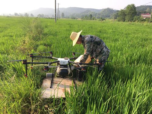 霍山種糧大戶用無人機(jī)防治蟲害